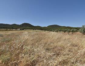 land sale padul south of spain by 88,000 eur