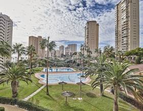 houses for rent in el campello