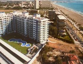 studios for rent in alicante