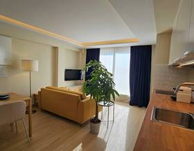 houses for rent in malaga