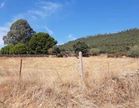 land sale caceres casas de millan by 550 eur