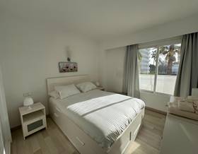 apartments for rent in pollensa