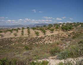 land sale alhendin alhedin by 102,000 eur