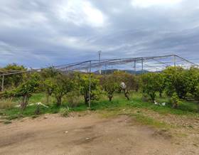 land sale ador comunidad valenciana by 16,000 eur