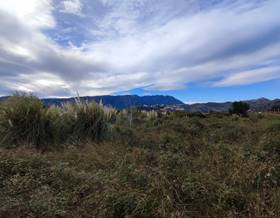 lands for sale in oliva