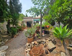 houses for sale in torre del mar