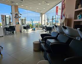 companies for rent in denia