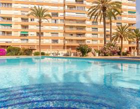 houses for rent in playa de san juan