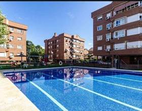 apartments for rent in este madrid