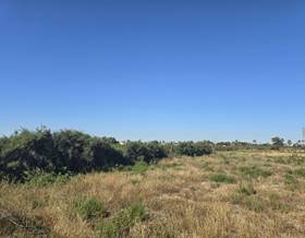 land sale elche elx distrito unico by 120,000 eur