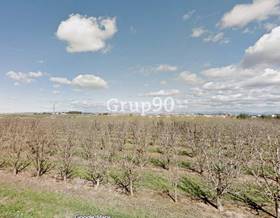 lands for sale in la poble de cervols