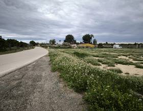land sale elche elx derramador by 49,000 eur
