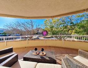 apartments for rent in jesus pobre