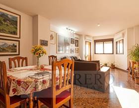 houses for sale in almisera