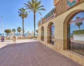 premises for rent in el campello