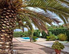 houses for sale in novelda