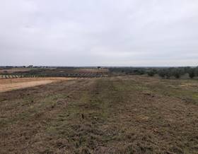 land sale bollullos par del condado south of spain by 7,500 eur