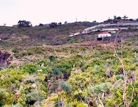 rustic property sale san juan de la rambla mazapé by 220,000 eur