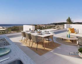 houses for sale in san luis de sabinillas