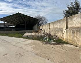 industrial warehouses for rent in mocejon