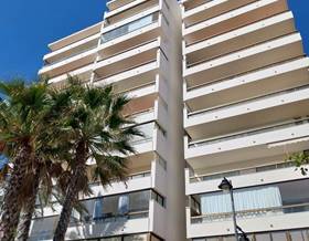 apartments for rent in san luis de sabinillas