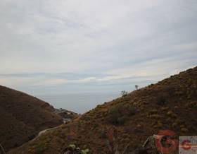 land sale itrabo itrabo by 45,000 eur