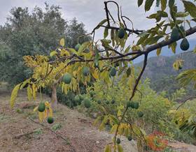 lands for sale in salobreña