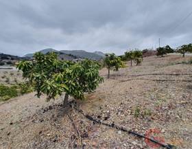 lands for sale in molvizar