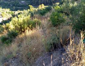 lands for sale in molvizar