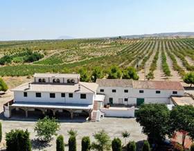 villa sale gor las viñas de gor by 975,000 eur