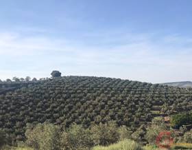 lands for sale in castril