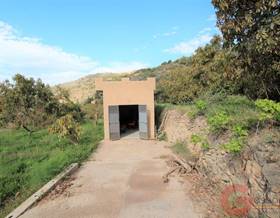 land sale velez de benaudalla alta by 69,000 eur