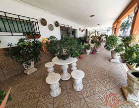 villas for sale in calahonda, granada