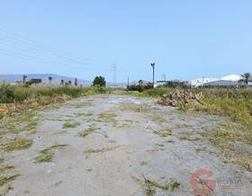 land sale motril celulosa by 86,000 eur