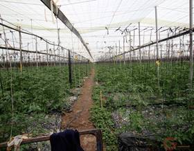 lands for sale in itrabo