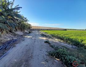 land sale motril puntalón by 81,000 eur