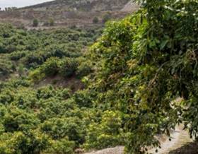 lands for sale in salobreña