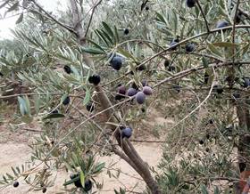 lands for sale in granada province