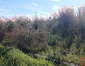 lands for sale in velez de benaudalla