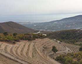 lands for sale in itrabo