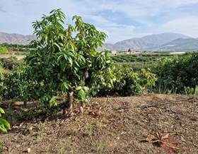 lands for sale in carchuna