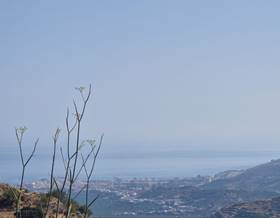 land sale itrabo barranco de itrabo by 66,000 eur