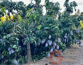 land sale salobreña piedras blancas by 250,000 eur