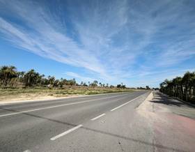 land sale elche elx daimes by 134,900 eur