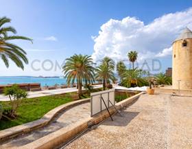 premises for sale in palma de mallorca