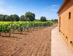 rustic property sale islas baleares costitx by 700,000 eur