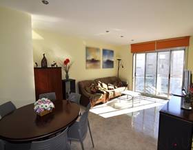 apartments for sale in l´aldea