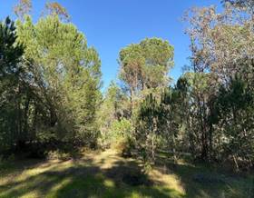 lands for sale in rociana del condado