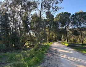 land sale rociana del condado rociana del condado by 23,000 eur