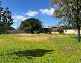 houses for sale in coria del rio